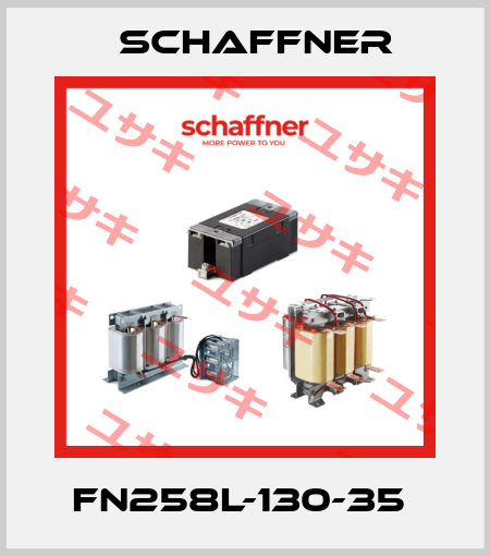 FN258L-130-35  Schaffner