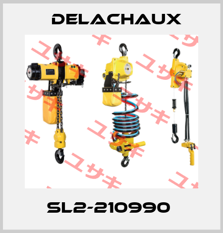 SL2-210990  Delachaux