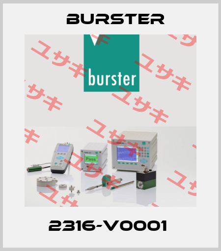 2316-V0001  Burster