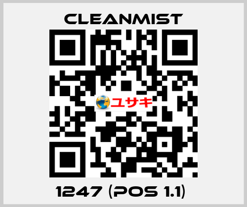 1247 (pos 1.1)  CleanMist