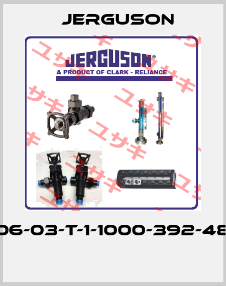 MII-SF-06-03-T-1-1000-392-48-FL-MS  Jerguson
