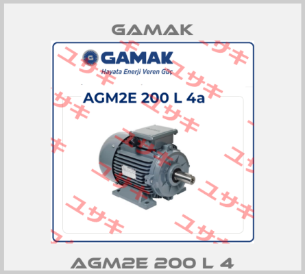 AGM2E 200 L 4 Gamak