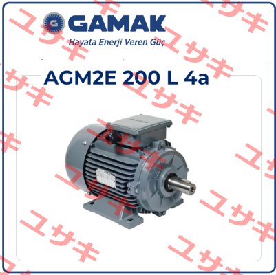 AGM2E 200 L 4 Gamak