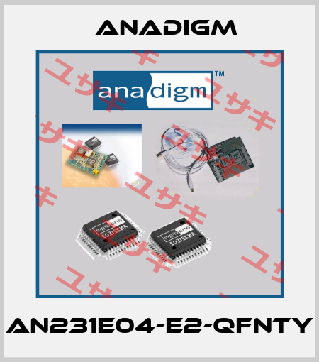 AN231E04-E2-QFNTY Anadigm