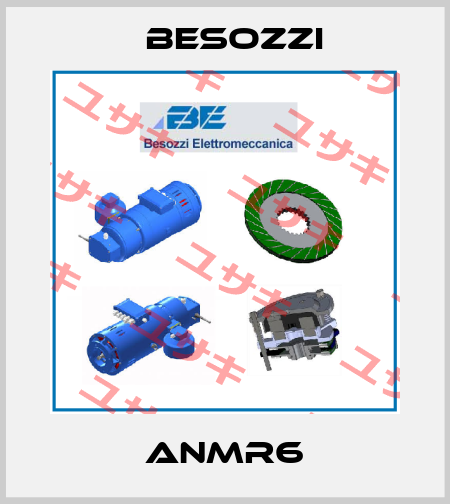 ANMR6 Besozzi