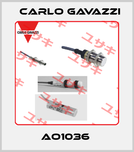 AO1036  Carlo Gavazzi