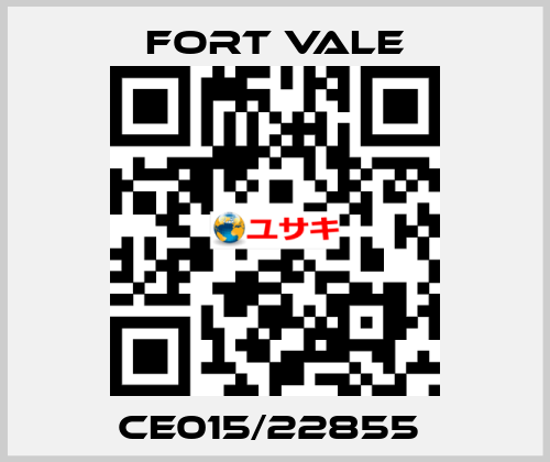 CE015/22855  Fort Vale