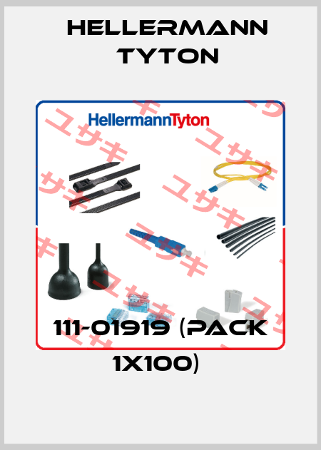 111-01919 (pack 1x100)  Hellermann Tyton