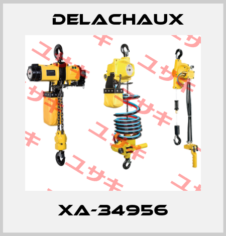 XA-34956 Delachaux
