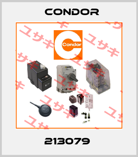213079  Condor
