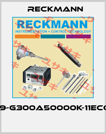 1R9-G300A50000K-11ECCX  Reckmann