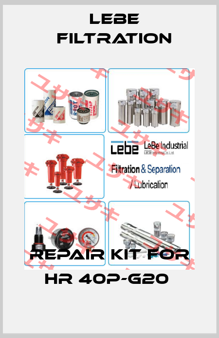 Repair kit for HR 40P-G20  Lebe Filtration