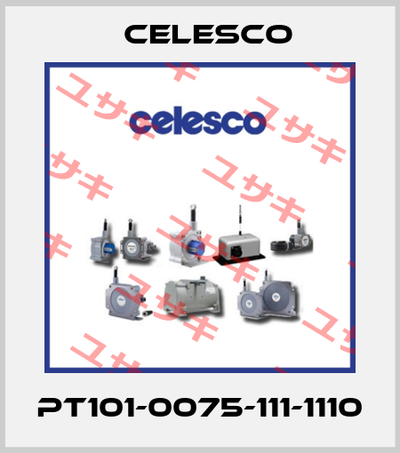 PT101-0075-111-1110 Celesco