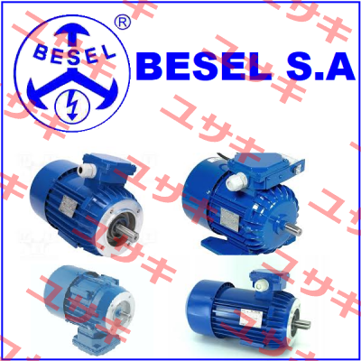 Motor 2SIEK 80 X-4C  BESEL S.A.