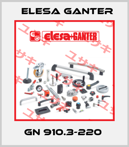 GN 910.3-220  Elesa Ganter
