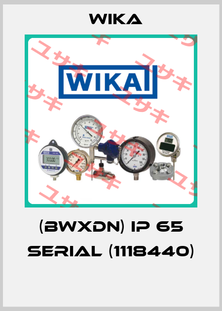 (BWXDN) IP 65 Serial (1118440)  Wika