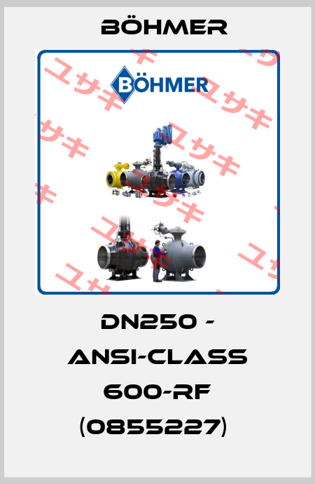 DN250 - ANSI-CLASS 600-RF (0855227)  Böhmer
