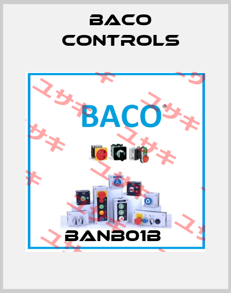 BANB01B  Baco Controls