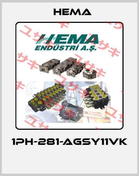 1PH-281-AGSY11VK  Hema