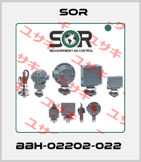 BBH-02202-022  Sor