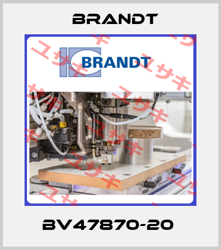 BV47870-20  Brandt