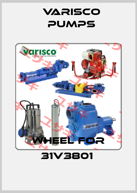 Wheel for 31V3801  Varisco pumps
