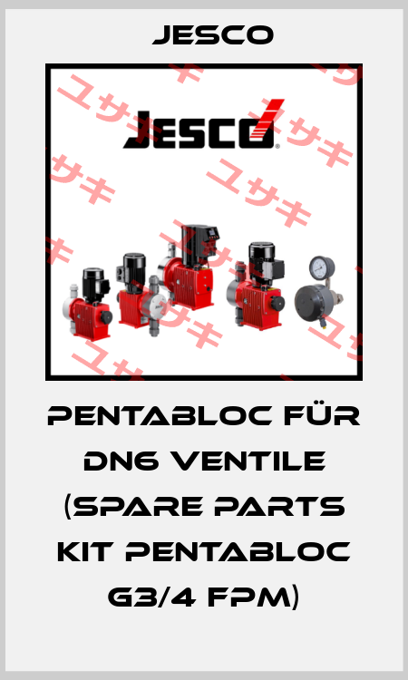 PENTABLOC für DN6 Ventile (Spare Parts Kit PENTABLOC G3/4 FPM) Jesco