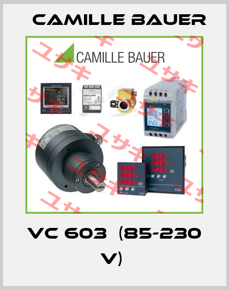 VC 603  (85-230 V)  Camille Bauer