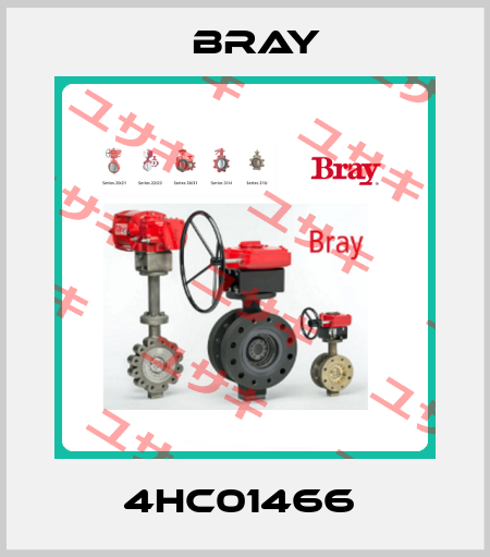  4HC01466  Bray