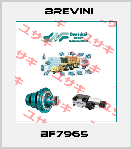BF7965  Brevini