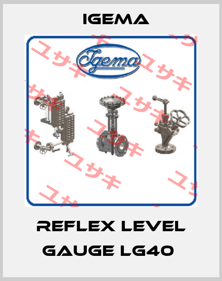 Reflex level gauge LG40  Igema