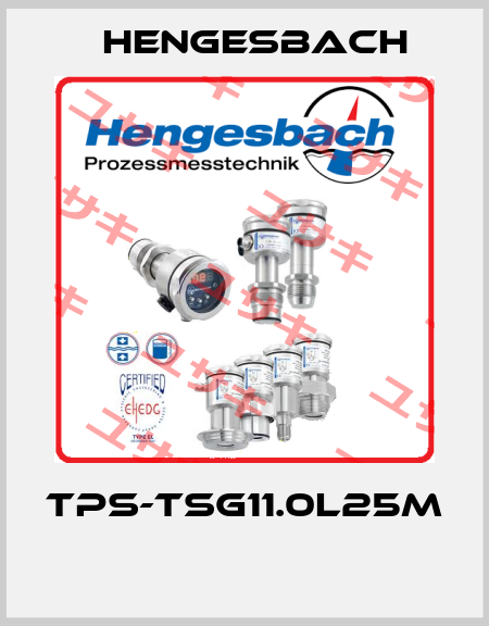 TPS-TSG11.0L25M  Hengesbach