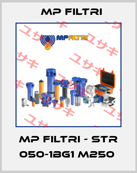 MP Filtri - STR 050-1BG1 M250  MP Filtri