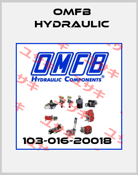 103-016-20018  OMFB Hydraulic