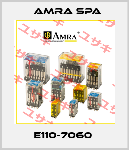 E110-7060  Amra SpA