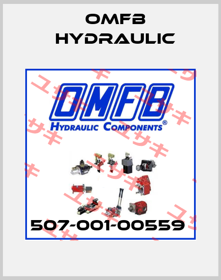 507-001-00559  OMFB Hydraulic