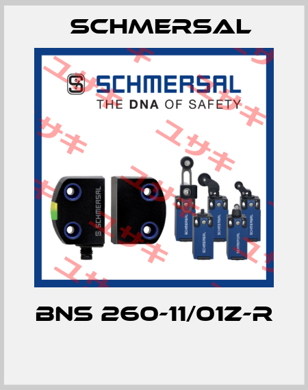 BNS 260-11/01Z-R  Schmersal