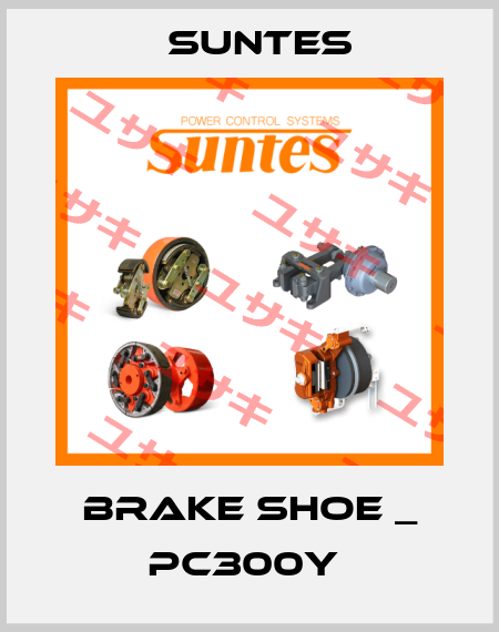 BRAKE SHOE _ PC300Y  Suntes