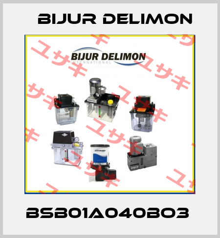 BSB01A040BO3  Bijur Delimon