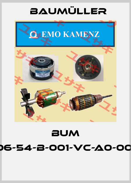 BUM 60-03/06-54-B-001-VC-A0-0001-0013  Baumüller