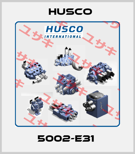 5002-E31  Husco