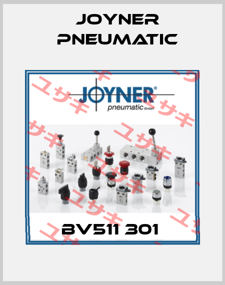 BV511 301  Joyner Pneumatic