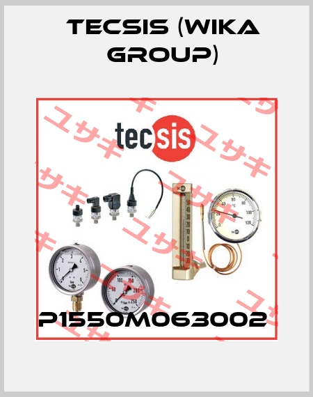 P1550M063002  Tecsis (WIKA Group)