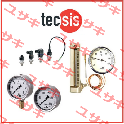 P1415B086901  Tecsis (WIKA Group)