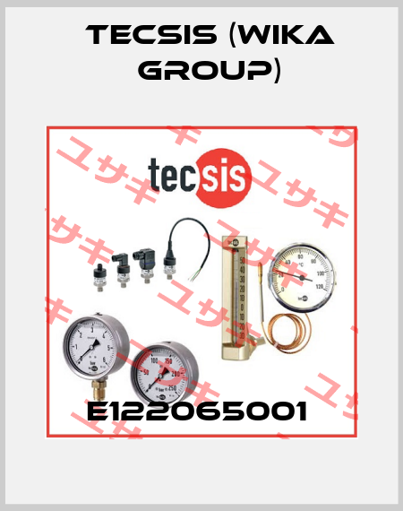 E122065001  Tecsis (WIKA Group)