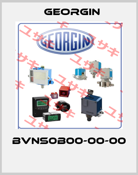 BVNS0B00-00-00  Georgin