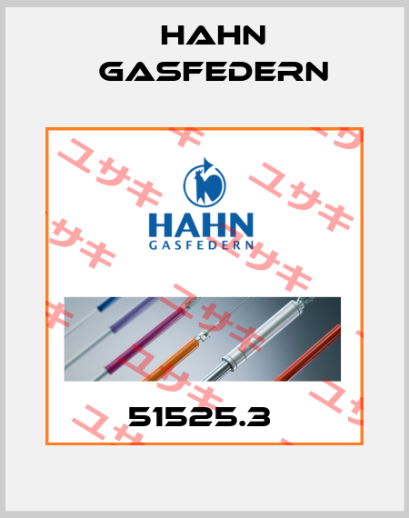 51525.3  Hahn Gasfedern