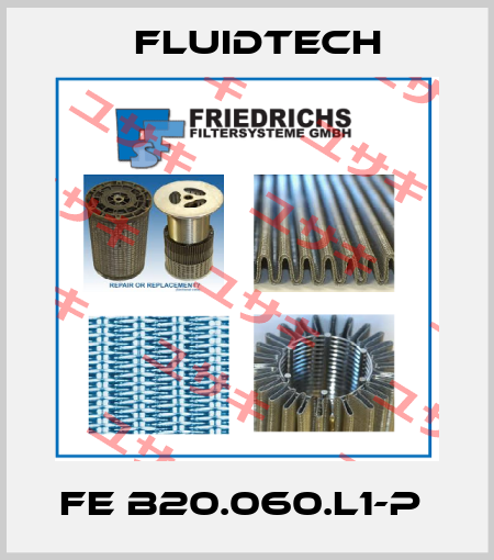 FE B20.060.L1-P  Fluidtech