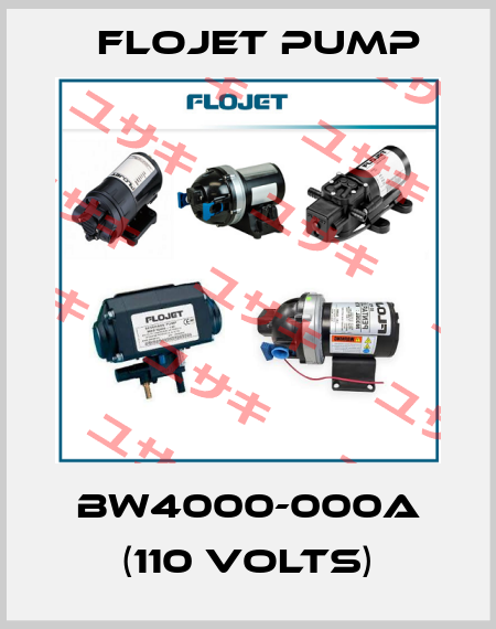 BW4000-000A (110 VOLTS) Flojet Pump