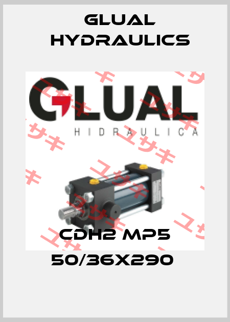 CDH2 MP5 50/36X290  Glual Hydraulics